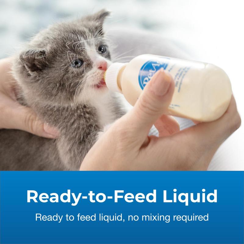 Substituto de leite de gatinho PeTag KMR Liquid 325 ml para recém